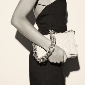 ZARA handbag/clutch 👜